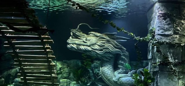 Lotte World Aquarium Hanoi | Lotte Mall West Lake Hanoi