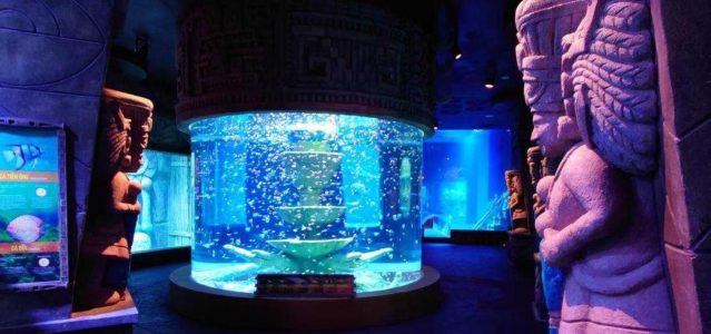 The Seashell Aquarium | VinWonder Phu Quoc